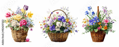 Three wicker baskets set with lush bouquets of mixed spring flowers. Hand drawn illustration of field and wildflowers in a basket. Perfect for spring holiday greeting card design, invitations.