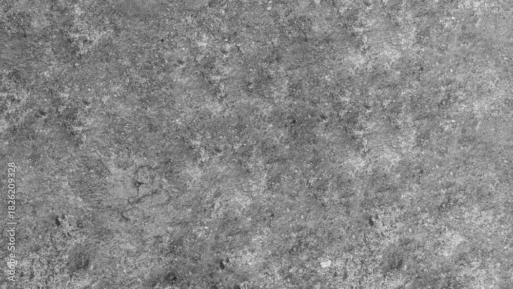 Fototapeta premium A detailed grayscale texture of weathered concrete surface with natural imperfections and subtle variations in tone.