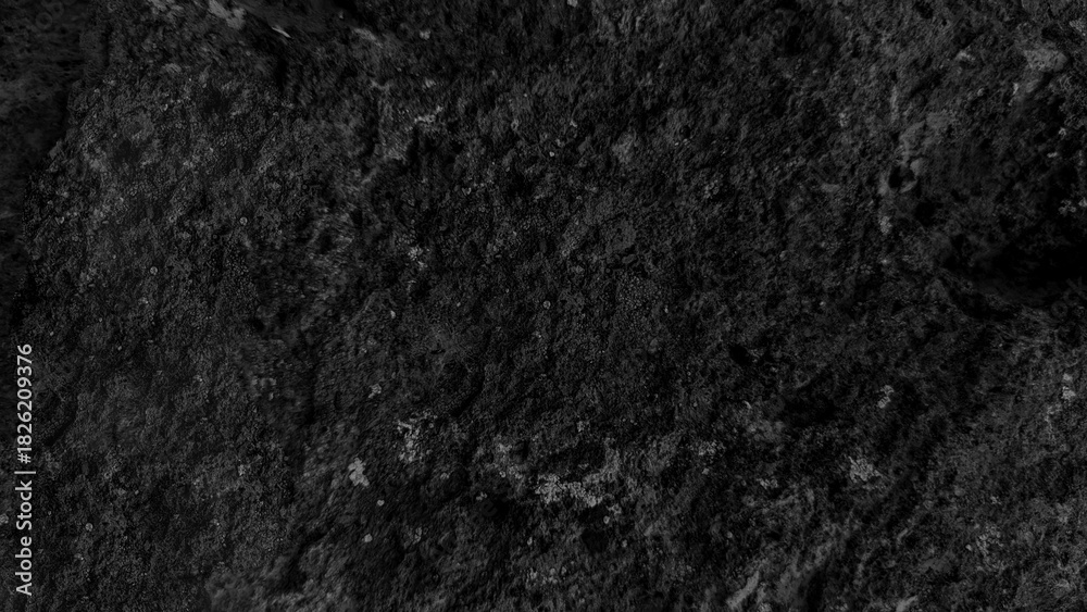 Fototapeta premium A close-up of a dark, textured surface resembling volcanic rock or charred material with subtle variations in tone and depth.