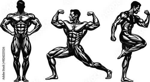 Bodybuilder muscle poses, strong athletic physique illustration, flexing bodybuilding silhouettes, muscular anatomy artwork, fitness strength concept, powerful male figure
