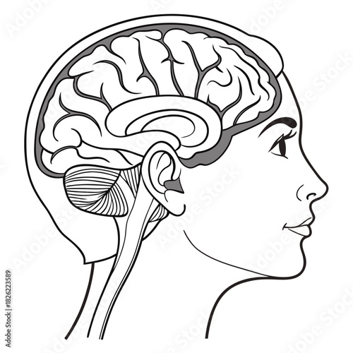 human head with brain