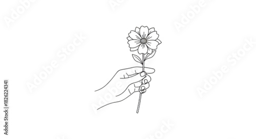 Delicate hand gently holds a single blooming flower, symbolizing nature and simple beauty.