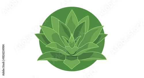 A stylized vector illustration of a green succulent plant, possibly an agave, on a dark green circular background.