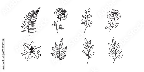 Floral botanical decorative line art collection isolated in white background leaf branch rose lily elements