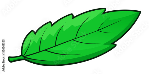 Vibrant green leaf rests on clean white surface, showcasing intr.