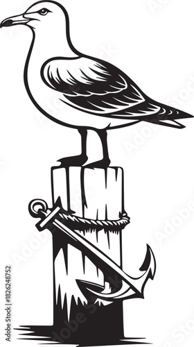 Vector illustration of a black silhouette of a flying bird, eagle, and seagull with wings, isolated on white