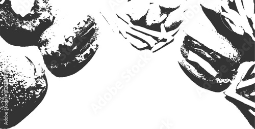 Black and white abstract close up of tulips with textured petals and leaves flower floral