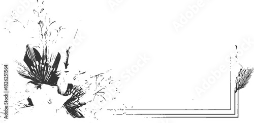 Black and white sketch of delicate flowers and leaves with a border frame floral botanical