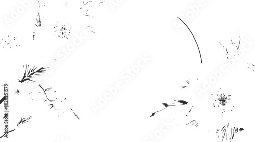 Black and white sketch of dandelion seed heads and pine needles on white background puffball plant