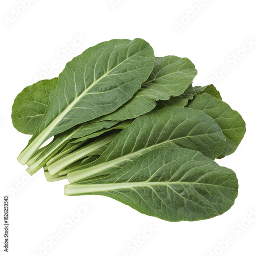 Fresh Green Komatsuna Mustard Spinach Leaves Isolated
