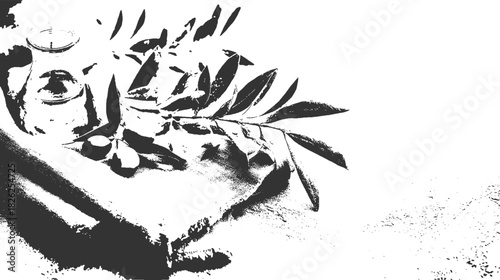 Black and white illustration of olive branch with olives and glass jar leaves