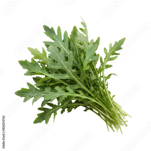 Fresh Green Arugula Rocket Salad Leaves Bunch Isolated