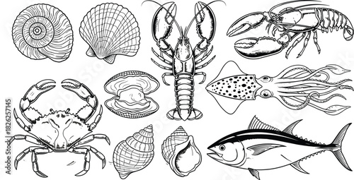 Hand-drawn vector collection of various seafood illustrations including lobster, scallop, crab, squid, tuna, and shells, created in a detailed vintage engraving line art style.