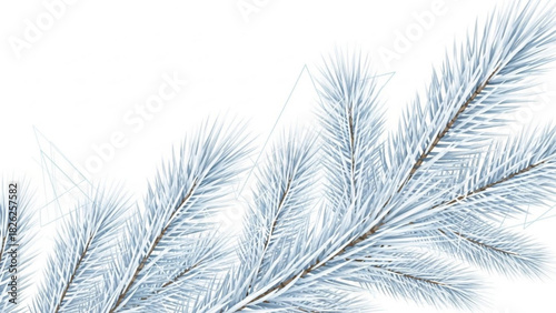 christmas tree branch