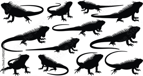 Iguana silhouette set, reptile vector illustration, black lizard poses, exotic animal design, wildlife clipart, tropical nature, editable graphic collection