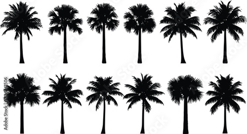 Large vector silhouette collection of diverse palm trees and tropical plants featuring different frond shapes and trunks, ideal for Hawaiian, beach, and travel design projects.