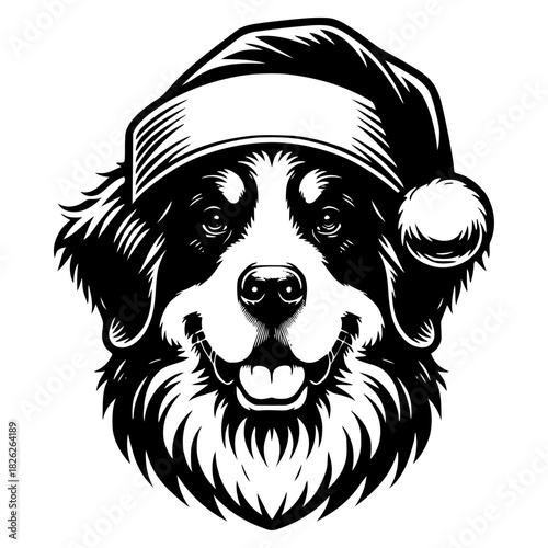 Bernese Mountain Dog in Santa Hat