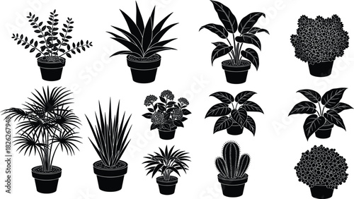 Potted plant silhouette illustration, decorative indoor greenery sketch, botanical foliage shape grid design, houseplant vector layout concept, cad drawing flat vector illustration