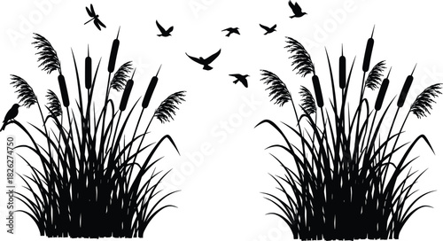Silhouette illustration of cattail reeds with perched birds and flying wildlife, natural marshland vegetation scene for nature design, landscape decoration vector artwork