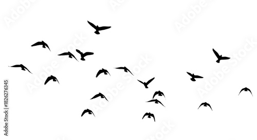 Flock of birds silhouetted against a white sky freedom and flight