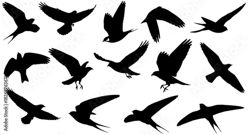 Silhouetted birds in flight a dynamic and evocative wildlife illustration