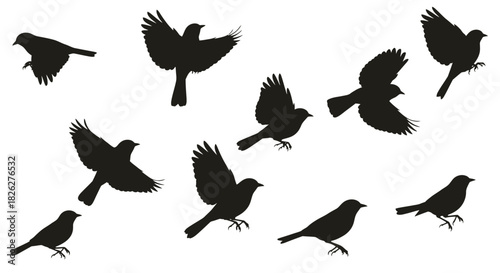 Flock of birds silhouettes in various poses against a white background