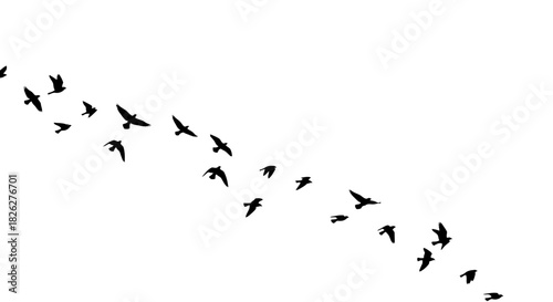 Silhouette of a flock of birds flying in formation against a white sky