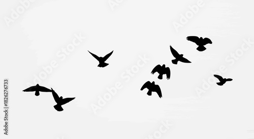 Silhouetted birds flying against a bright white sky in minimalist style