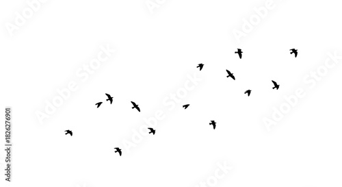 Minimalist flock of birds flying in a white sky freedom and simplicity