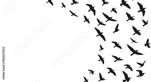 Flock of birds silhouettes flying upward on a white background