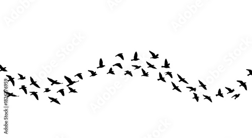 Silhouette of birds flying in a wavy formation against a white background