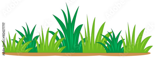 Lush Green Grass: A vibrant display of nature, capturing the essence of a flourishing lawn, perfect for bringing a touch of the outdoors into your designs.