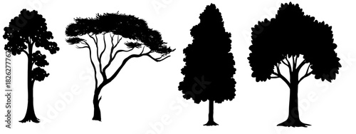 Silhouetted Canopy: An artistic ensemble of varied trees, their forms cast in stark black against the bright backdrop. Each silhouette offers a unique profile of nature's towering design.