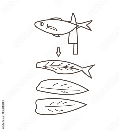魚の3枚下ろしのイラスト　線画のみ