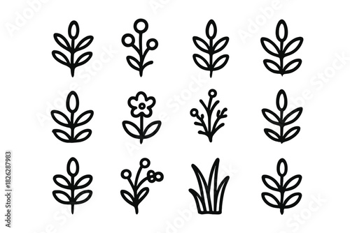 Minimalist hand drawn botanical collection of leaves, flowers, and berries
