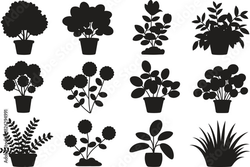 Silhouette Potted Plants Icons Set. Home Garden, Indoor Plants, Flower Pots Vector Illustration