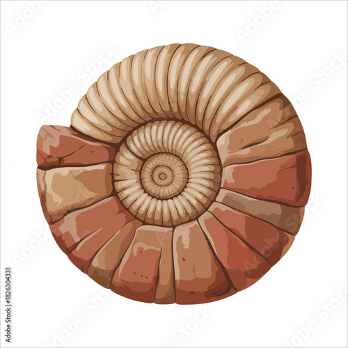 Cartoon prehistoric seashell fossil for paleontology study isolated vector illustration on white background