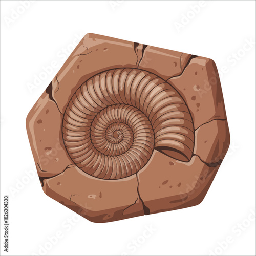 Cartoon prehistoric seashell fossil for paleontology study isolated vector illustration on white background