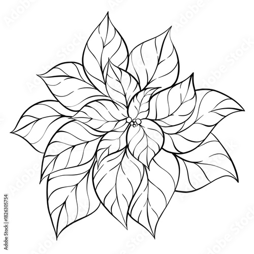 Christmas Poinsettia Black and White Flower Illustration. Elegant Festive Botanical Line Art for Holiday Prints, Coloring Pages, Greeting Cards, Winter Decor and Craft Projects