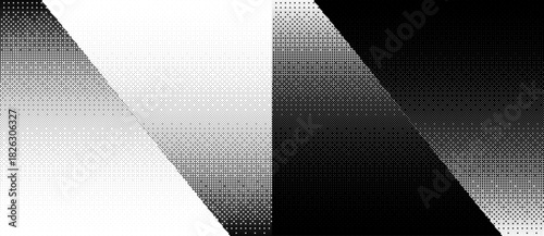 Abstract art background with dots. Gradient with stipple effect with chaotic noise. Black dots on a white background and the same white dots on the black side.