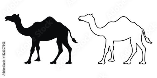 Camel vector silhouette, Desert camel outline vector illustration