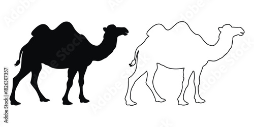 Camel vector silhouette, Desert camel outline vector illustration