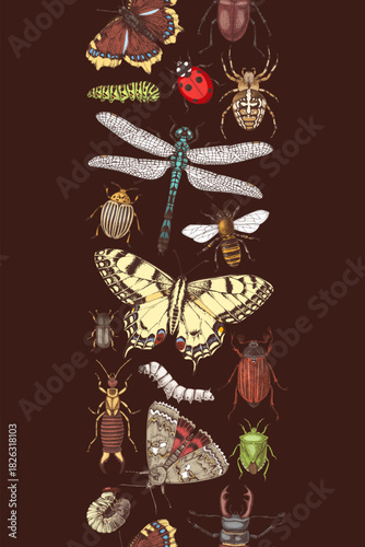 Insects hand drawn vertical seamless banner