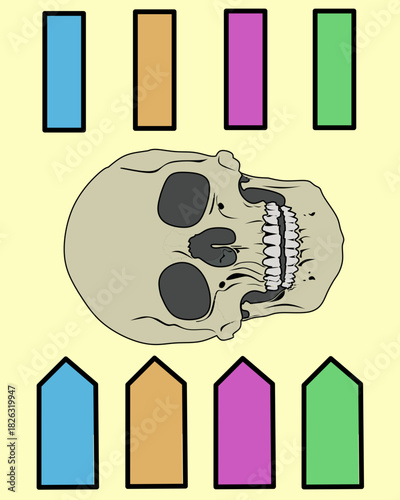 Illustration of a human skull with colorful label blocks on both sides, designed for anatomy education and medical presentation use
