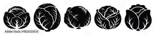 set of  cabbage whole icon vector illustration isolated on white background