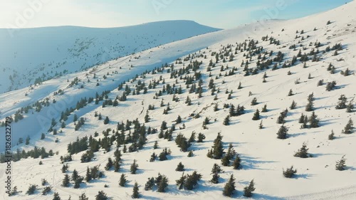 Aerial shot of winter wilderness featuring snow and forested ridges, Drone footage capturing serene alpine winter landscape with snowcovered slopes and tall pines