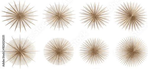 Abstract radial pattern collection Vector illustration of various sunburst designs, creative shapes