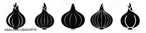 set of  onion bulb icon vector illustration isolated on white background