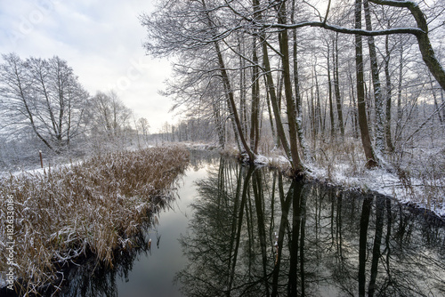 Zima nad rzeką Supraśl, Puszcza Knyszyńska, Podlasie