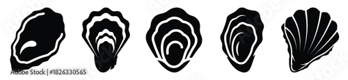 set of  oyster shell icon vector illustration isolated on white background